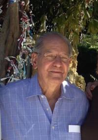 Dr. Matthew E. Levison