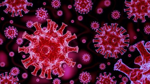 コメンタリー ― COVID-19：ヒトコロナウイルス感染症についてわかっていること