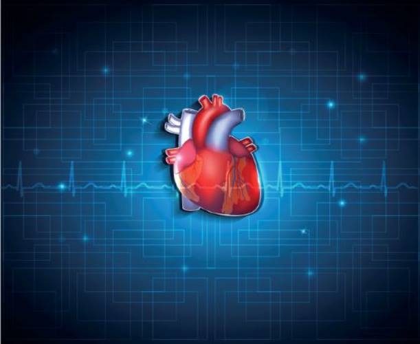 コメンタリー：不整脈がある人はコーヒーを控えるべきか？