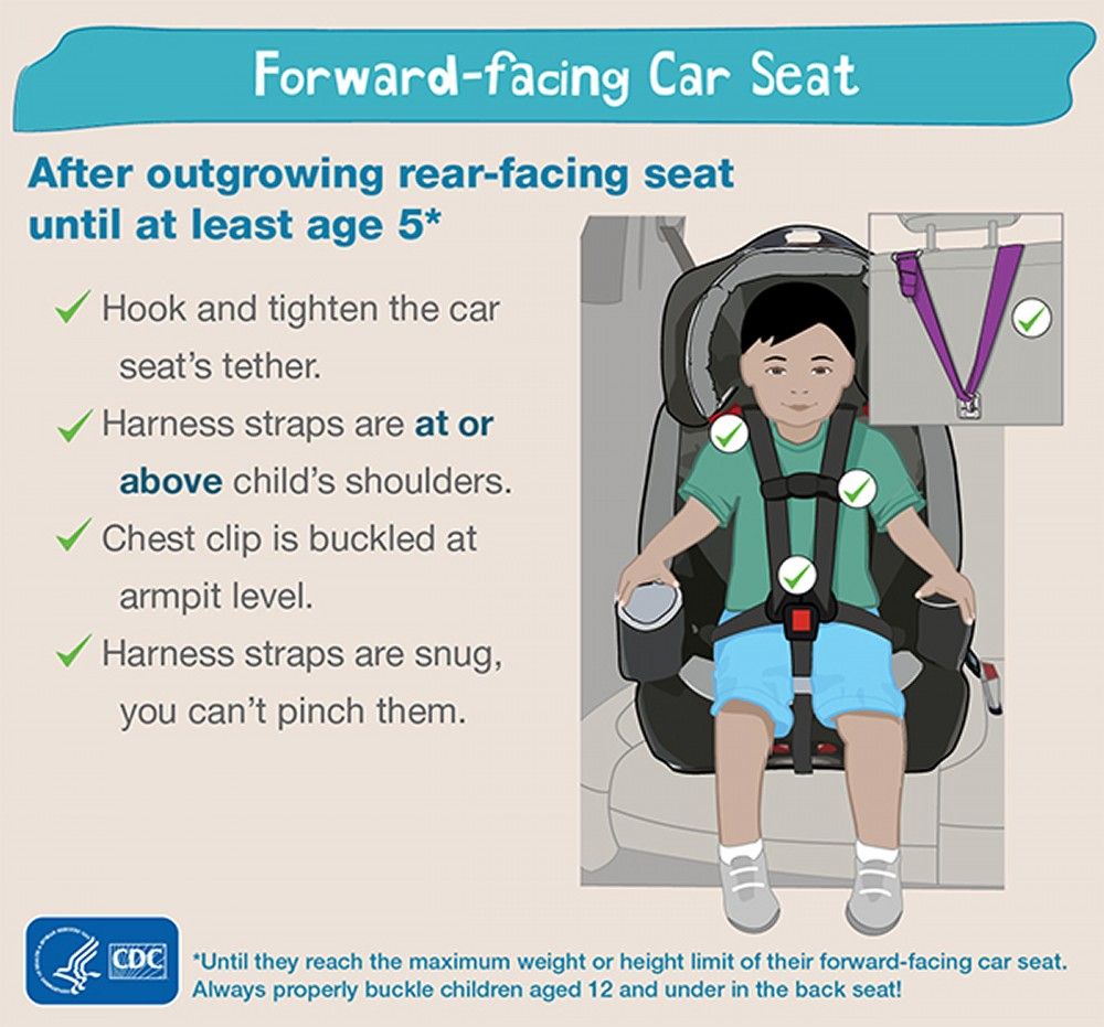 Image Gui About Forward Facing Car Seats Msd Manual Consumer Version - What Is The Height Limit For Car Seat
