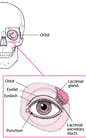 Overview of Eye Injuries