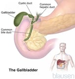 Gallbladder and Biliary Tract
