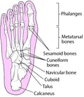Köhler Bone Disease