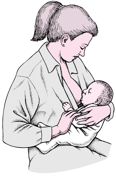 Positioning a Baby to Breastfeed