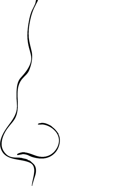 Saddle Nose Deformity