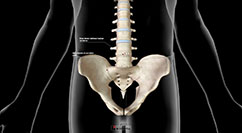 Espondilitis anquilosante