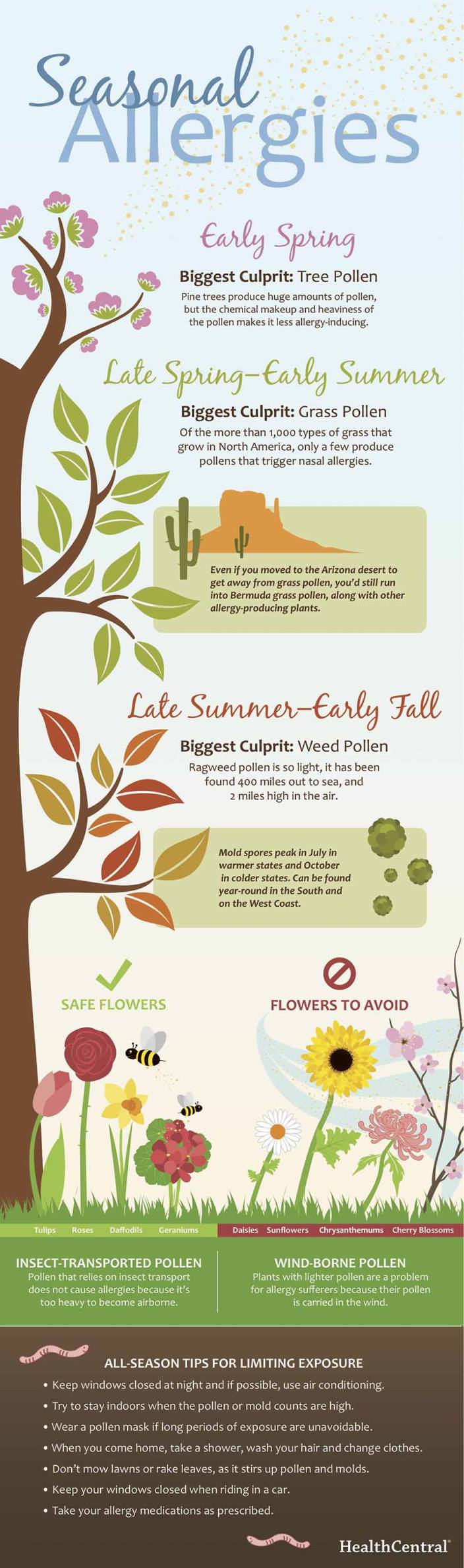 Infographic Allergy season is here! MSD Manual Consumer Version
