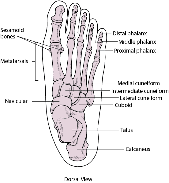 az első metatarsophalangealis osteoarthritis a lábujjak osteoarthritisének kezelése