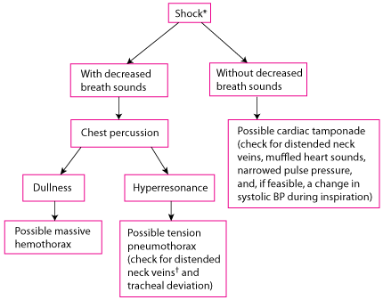 A simplified, rapid assessment for chest injuries in patients with shock during the primary survey