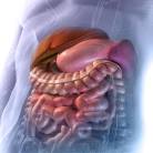 Symptômes liés aux gaz digestifs