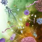 Prise en charge des infections parasitaires