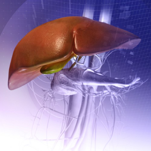Chronic Hepatitis