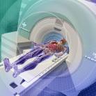 Présentation du processus décisionnel en médecine